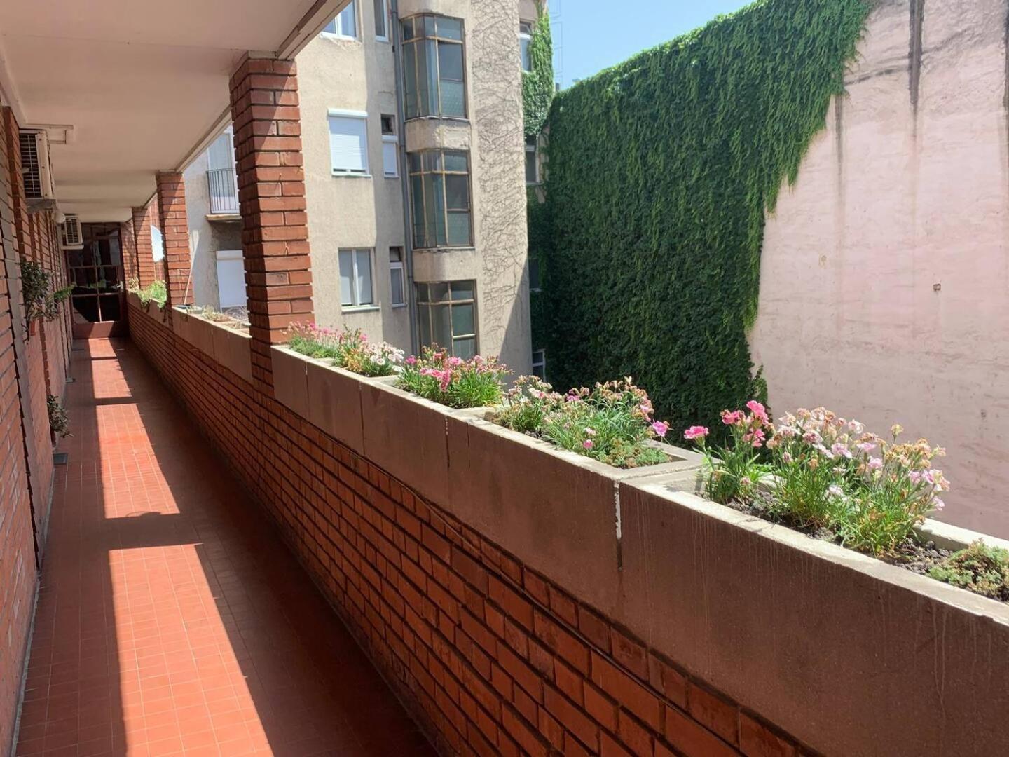 Flat White Apartment Budapešť Exteriér fotografie